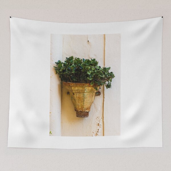 Item preview, Rustic Wall Planter With Green Succulent Plants Against A Weathered Cream Stucco Wall designed and sold by Nmallia.