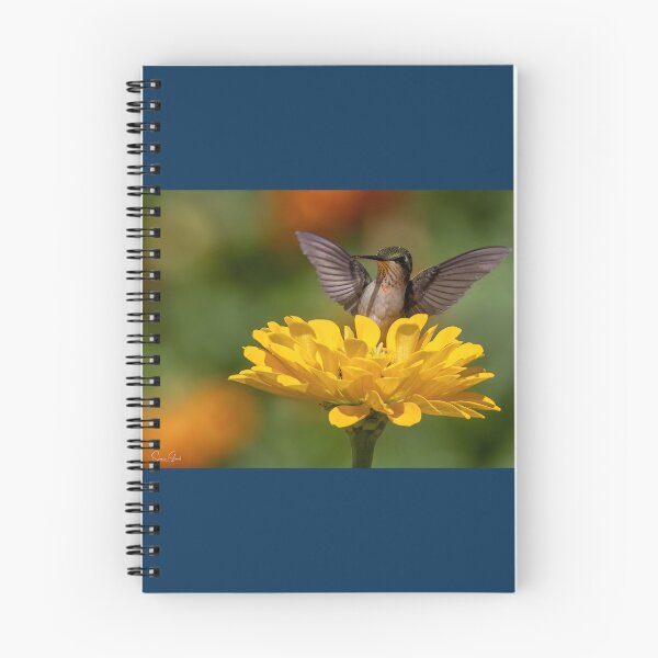 Item preview, Hummingbird on a Yellow Flower  designed and sold by Shannon Emmel .