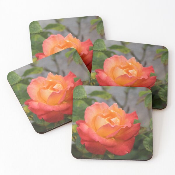 Item preview, Pink and orange rose flower macro - Soft nature photography designed and sold by Cha-s-lens.