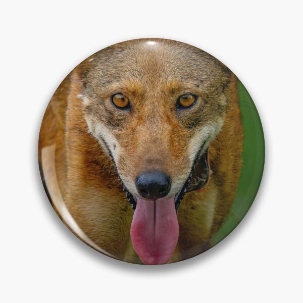 Item preview, Endangered Red Wolf  designed and sold by Shannon Emmel .