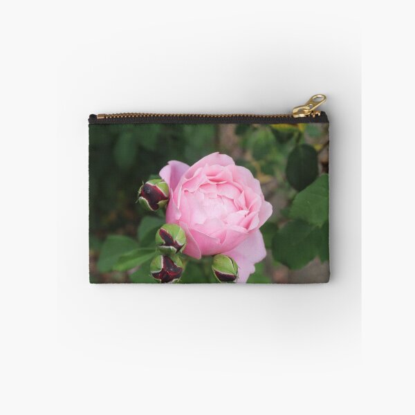 Item preview, Pink rose with dark rose buds - Soft nature photography designed and sold by Cha-s-lens.
