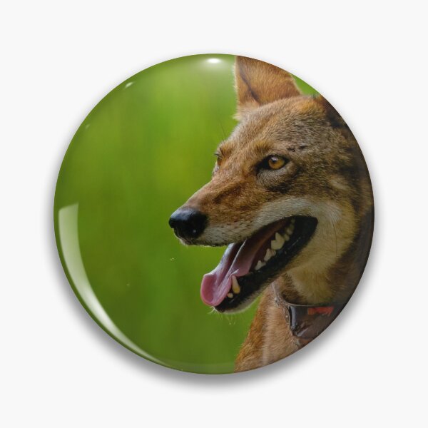 Item preview, The Endangered Red Wolf  designed and sold by Shannon Emmel .