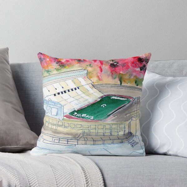 Aperçu de l'œuvre FOOTBALL DE MSU créée et vendue par Janette17.