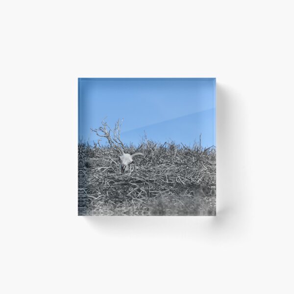 Item preview, After the fire.  designed and sold by Neil MacNeill.
