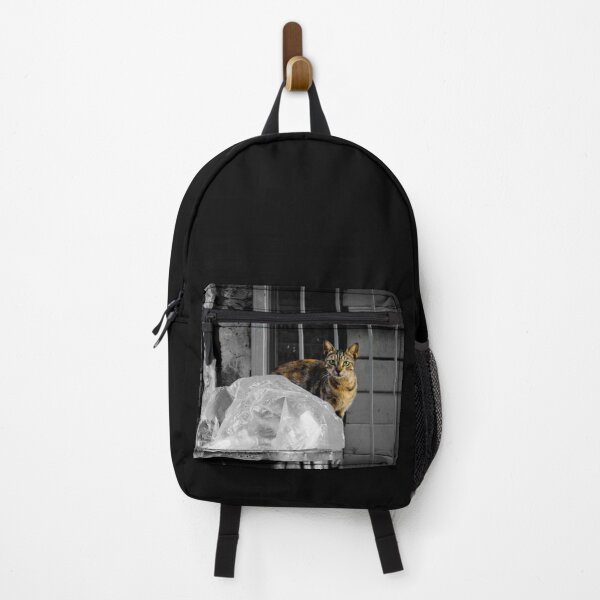 Item preview, Cat in trash can,Athens Downtown designed and sold by DanoolPics.