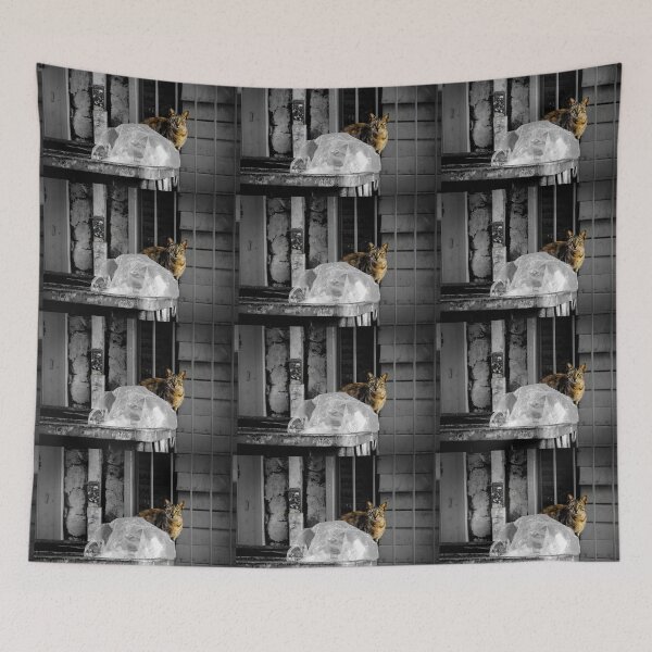 Item preview, Cat in trash can,Athens Downtown designed and sold by DanoolPics.