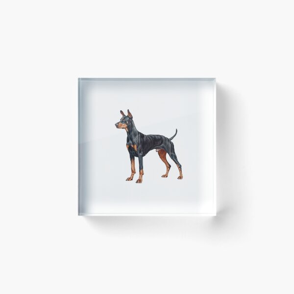 Item preview, Doberman Pinscher Dog Dobie, with tail, not docked designed and sold by lambandoak.