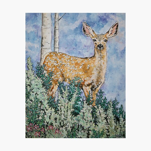 Item preview, Mule deer fawn watercolor  designed and sold by Saltypro.