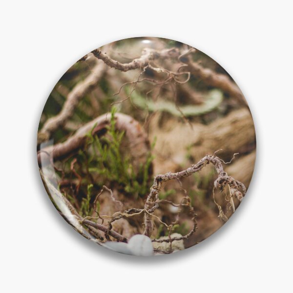 Item preview, Dead nature Photo designed and sold by DanoolPics.