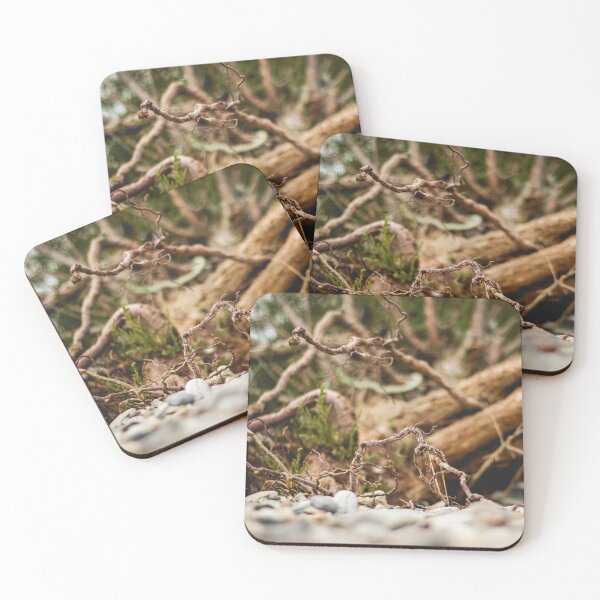 Item preview, Dead nature Photo designed and sold by DanoolPics.
