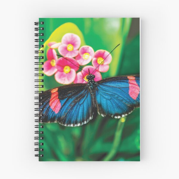 Item preview, Butterfly Color Explosion designed and sold by Kay Brewer.