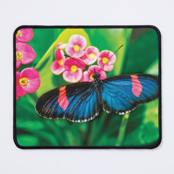 Item preview, Butterfly Color Explosion designed and sold by Kay Brewer.