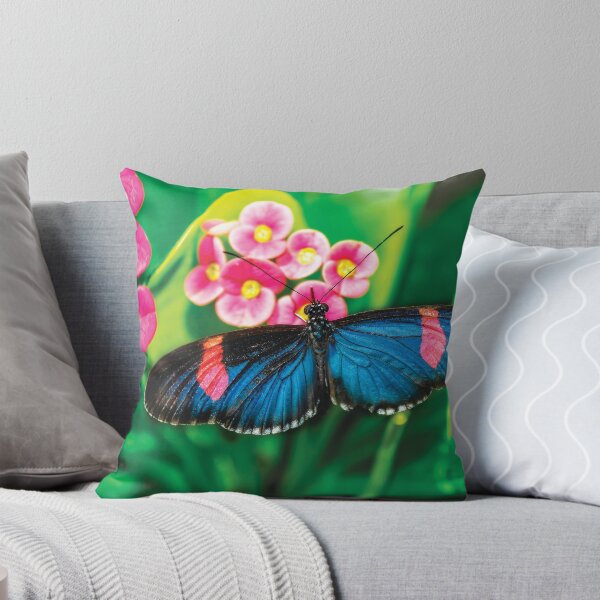 Item preview, Butterfly Color Explosion designed and sold by Kay Brewer.