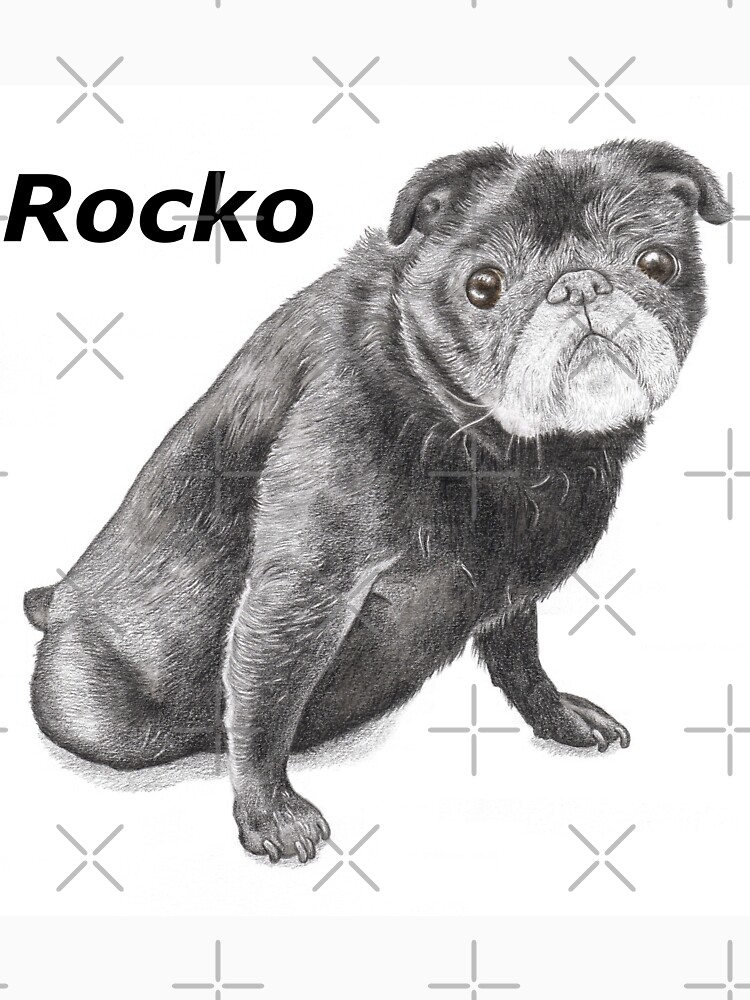 rocko t shirt