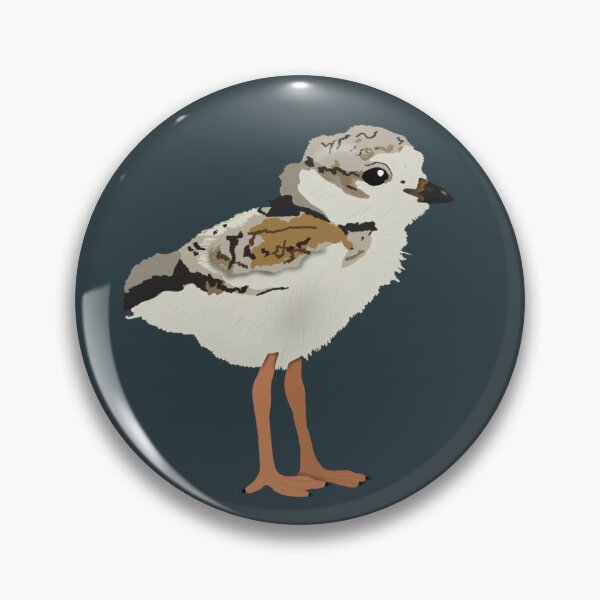 Item preview, Piping Plover Chick designed and sold by BDBirds.