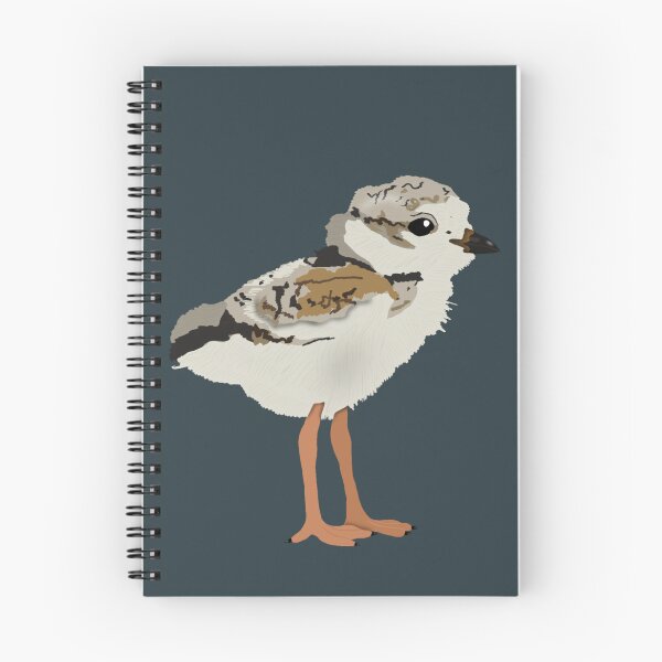 Item preview, Piping Plover Chick designed and sold by BDBirds.