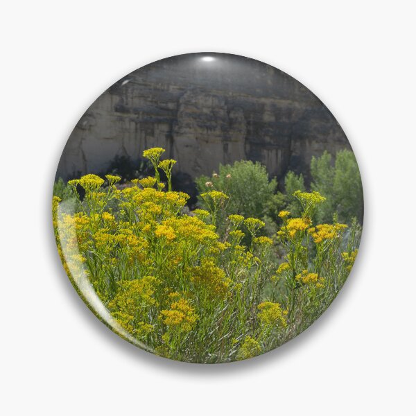 Item preview, Yellow rabbitbrush beside Green River in Dinosaur National Monument designed and sold by lisavonbiela.
