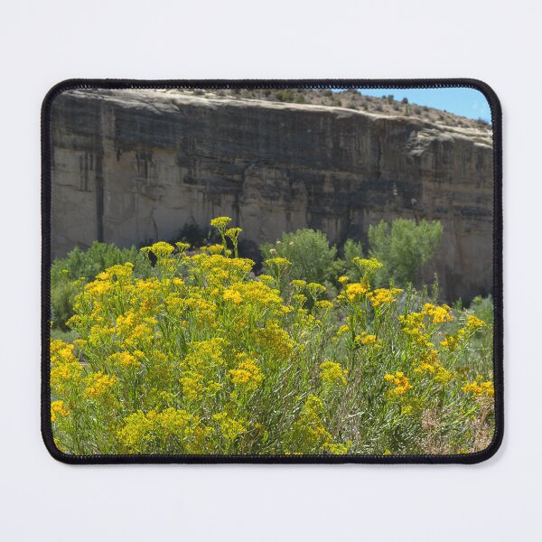 Item preview, Yellow rabbitbrush beside Green River in Dinosaur National Monument designed and sold by lisavonbiela.