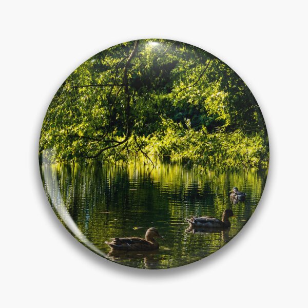 Item preview, Sunlit duck pond designed and sold by Astute-Artio-Photography.