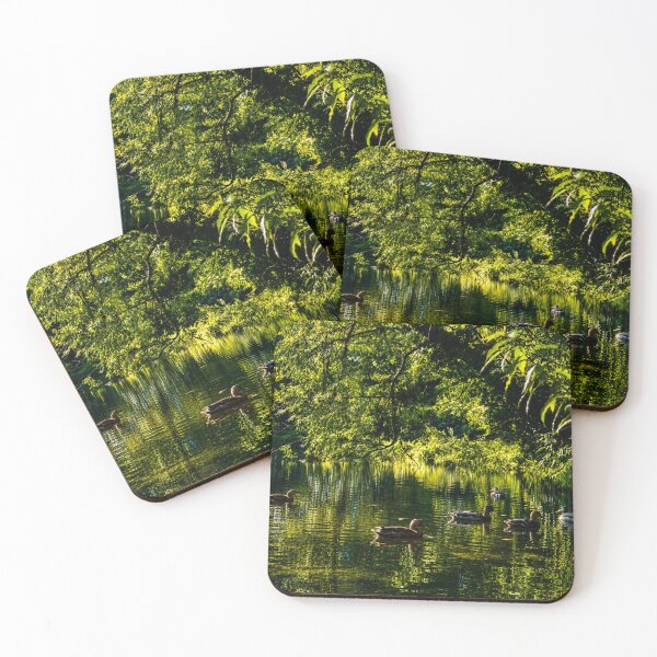 Item preview, Sunlit duck pond designed and sold by Astute-Artio-Photography.