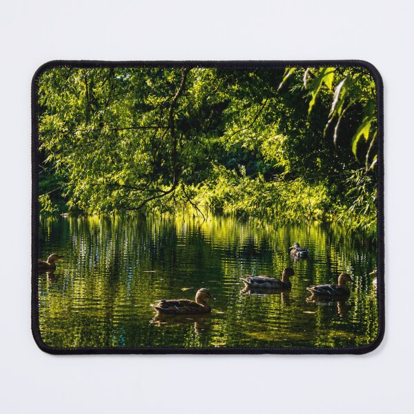 Item preview, Sunlit duck pond designed and sold by Astute-Artio-Photography.