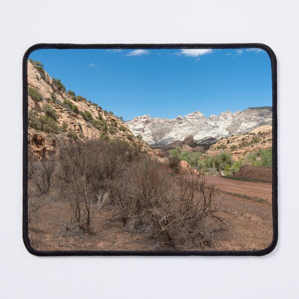 Item preview, Formations along Cub Creek Road in Dinosaur National Monument with scrub trees in foreground designed and sold by lisavonbiela.