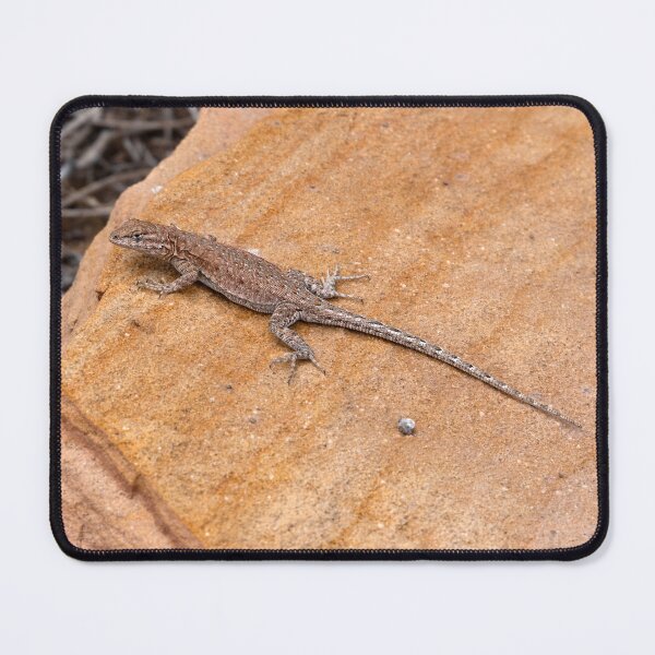 Item preview, Close-up of Western Fence Lizard on red rock designed and sold by lisavonbiela.