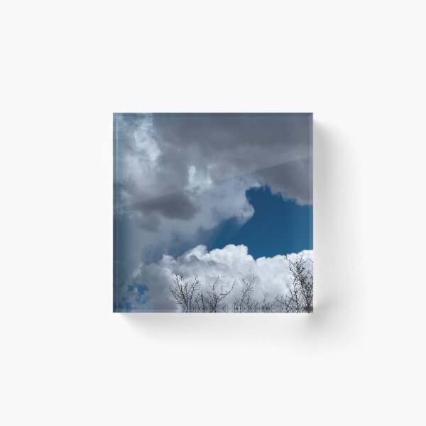 Item preview, Bare treetops silhouetted against massive cumulus clouds with trails designed and sold by lisavonbiela.