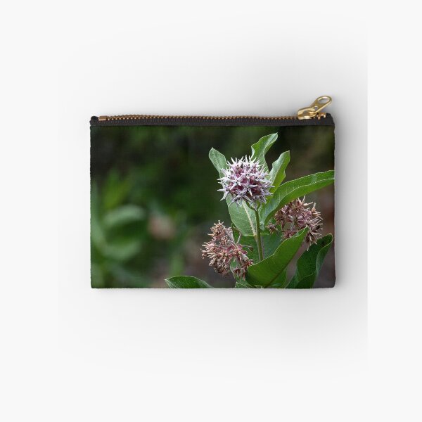 Item preview, Showy Milkweed with bokeh in square crop designed and sold by lisavonbiela.