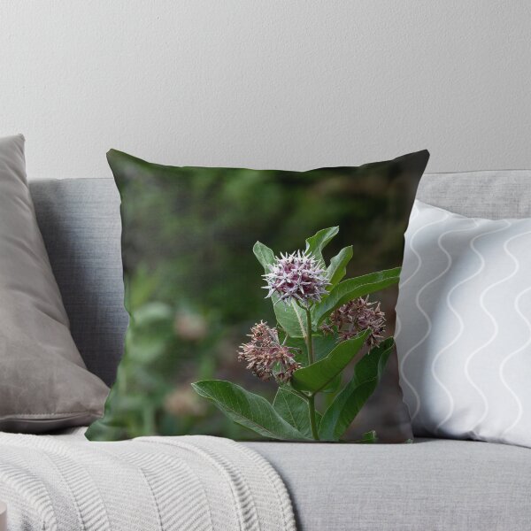 Item preview, Showy Milkweed with bokeh in square crop designed and sold by lisavonbiela.