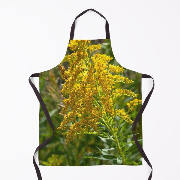 Item preview, Stalk of Goldenrod in the sun designed and sold by lisavonbiela.