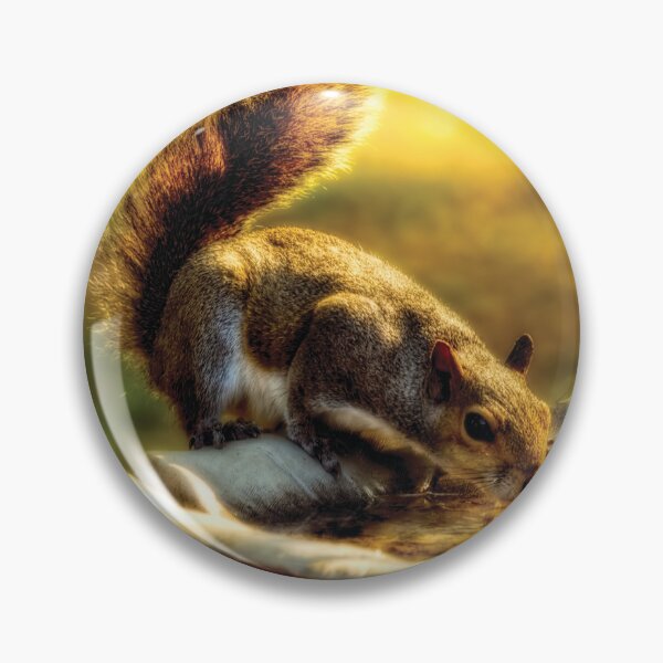 Item preview, The Squirrel designed and sold by Kay Brewer.