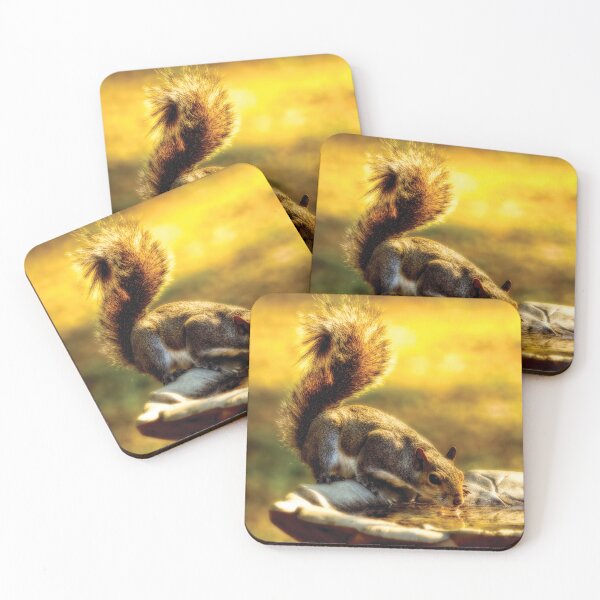 Item preview, The Squirrel designed and sold by Kay Brewer.