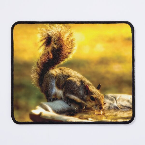 Item preview, The Squirrel designed and sold by Kay Brewer.