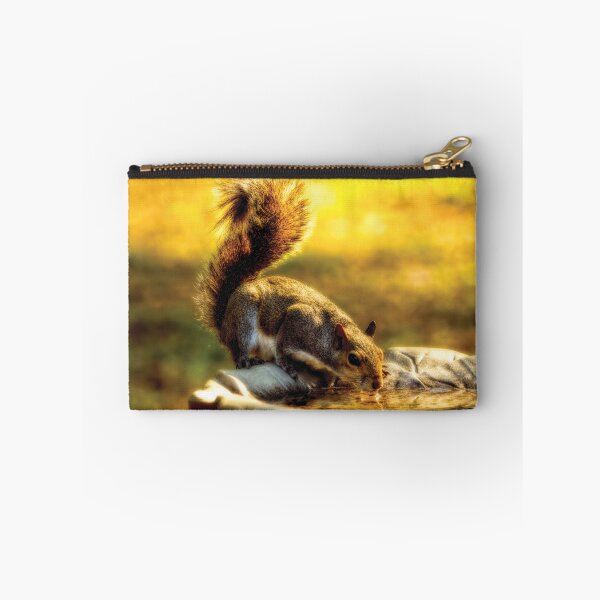 Item preview, The Squirrel designed and sold by Kay Brewer.