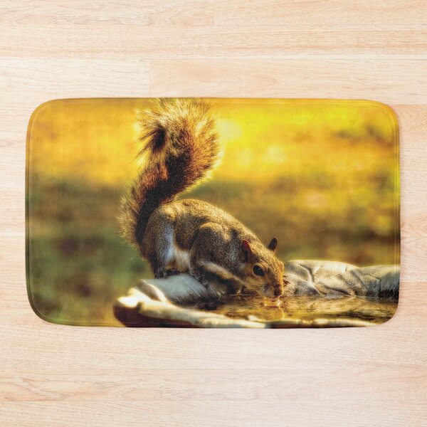 Item preview, The Squirrel designed and sold by Kay Brewer.