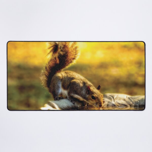 Item preview, The Squirrel designed and sold by Kay Brewer.
