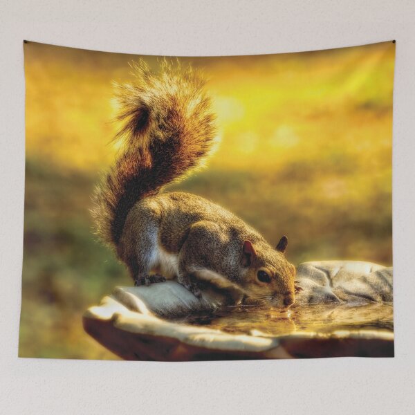 Item preview, The Squirrel designed and sold by Kay Brewer.