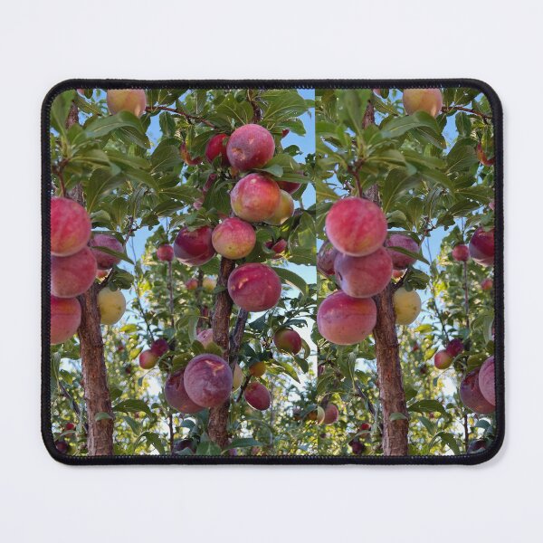 Item preview, Fresh Garden Plums designed and sold by EmmaLilStudio.