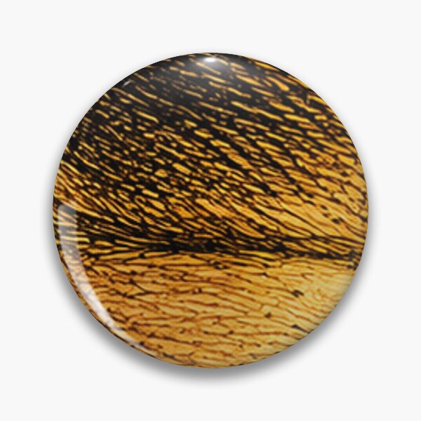 Item preview, Geography. designed and sold by Eutrope d'Orange.