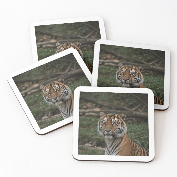 Item preview, Love Tiger in the Natural 2 T-Shirt designed and sold by elliegraimee.