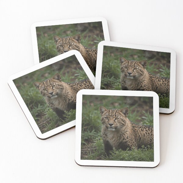 Item preview, Love Tiger in the Natural 1 T-Shirt designed and sold by elliegraimee.