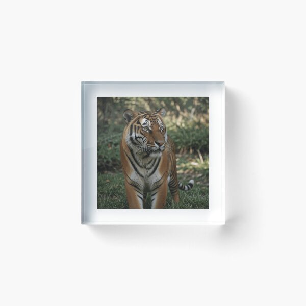 Item preview, Love Tiger in the Natural 3 T-Shirt designed and sold by elliegraimee.
