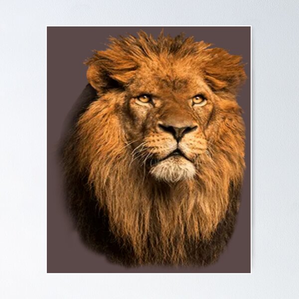 Item preview, KING designed and sold by Salisha Wheeler.