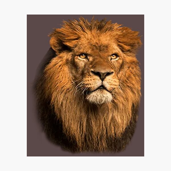Item preview, KING designed and sold by Salisha Wheeler.