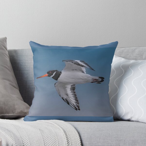 Item preview, Oystercatcher in Flight designed and sold by Tom McPherson Photography.