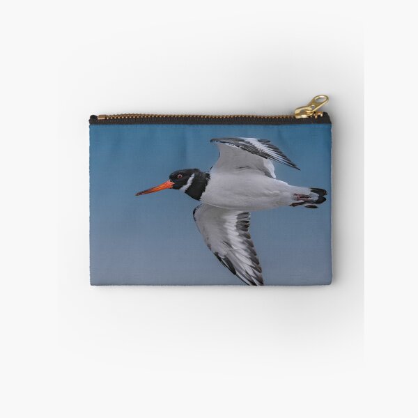Item preview, Oystercatcher in Flight designed and sold by Tom McPherson Photography.