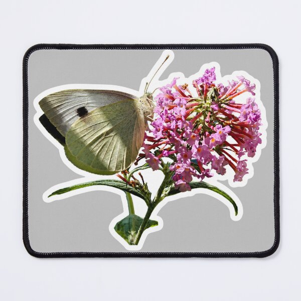 Item preview, White Butterfly on Pink Flowers Botanical Nature Photography designed and sold by GusiaTreasures.