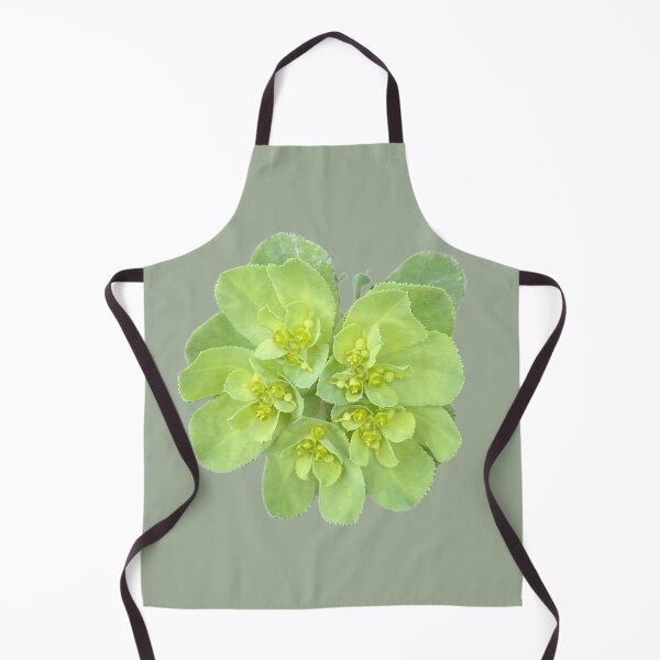 Item preview, Isolated Green Euphorbia Spurge Flower Cluster Macro Cutout designed and sold by BalkanBloom.