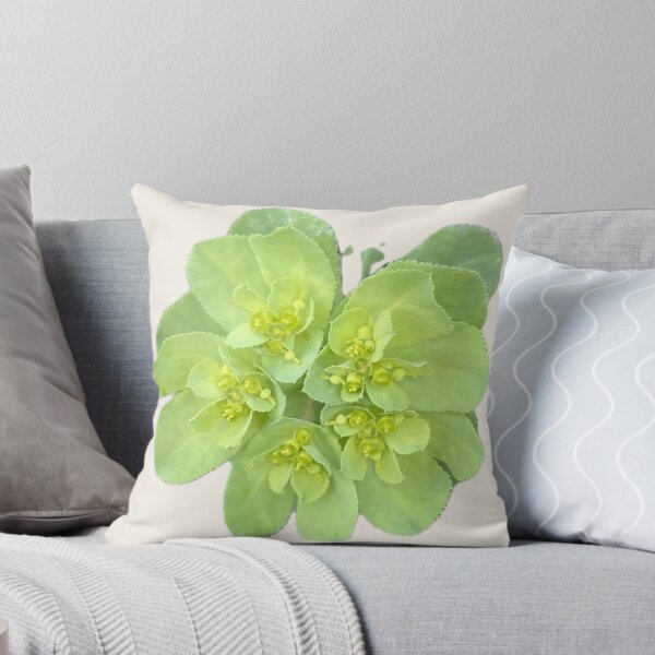 Item preview, Isolated Green Euphorbia Spurge Flower Cluster Macro Cutout designed and sold by BalkanBloom.